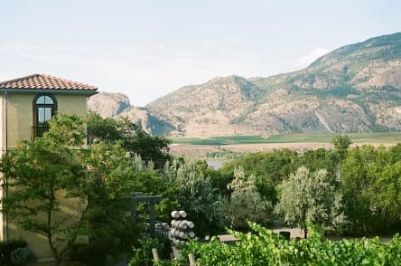 Lake Okanagan Vineyards - Okanagan Falls