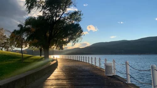 a long dock with a tree on the side of it